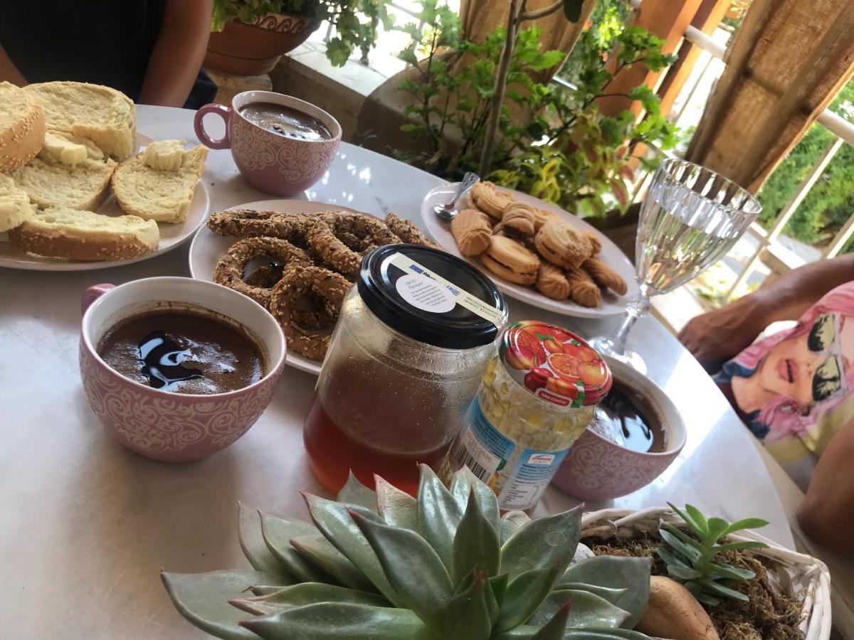 Kamelia-renovated Old House-south Crete *